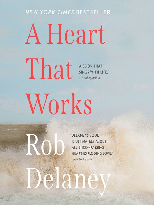 Title details for A Heart that Works by Rob Delaney - Wait list